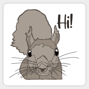 Fox Eastern Gray Japanese Squirrel Lover Squirrel Sticker